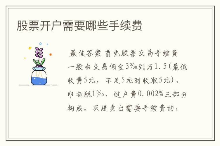 新手如何炒股,怎样开户,怎样入市「90后00后投资者入市了」 海珍品