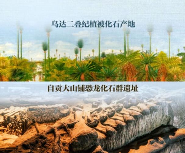 上半年郑州市新增4家商场，三季度将有宜家等3家商场开业, 你怎么看「白名单增资到4万亿是真的吗」 海鱼行情