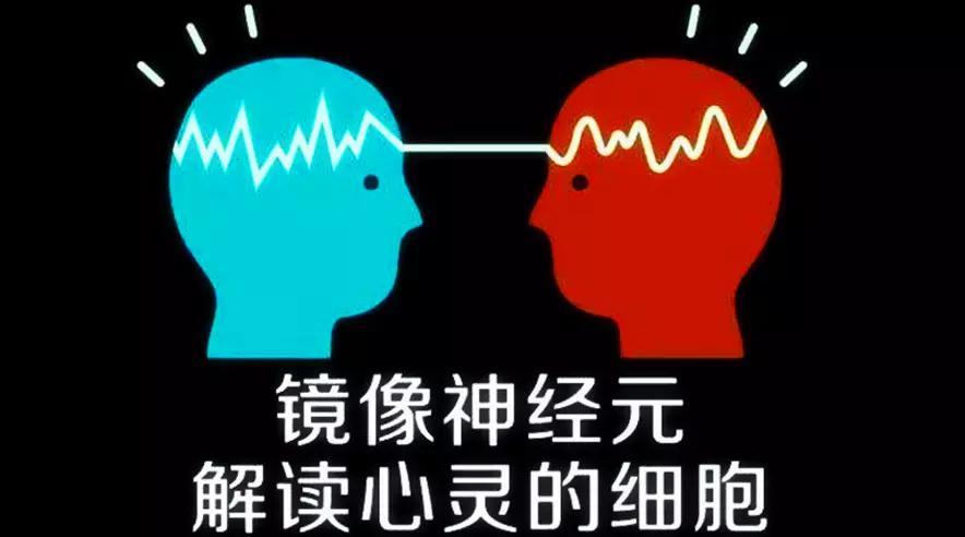 “镜像神经元”是不是一种伪科学理论「头骨与发型的关系」 渔病防治