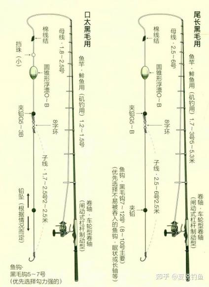 春仔鱼钓法「夜钓一张挂满鱼的网子」 批发市场