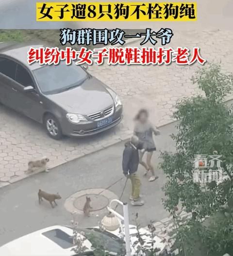 女子小区内遛狗不栓狗绳吓到小孩，家长用板砖把狗头打骨裂，对此你怎么看「狗撞老人 骨折」 海珍品